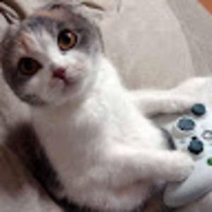 Meet your Posher, Shawn